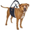 Mighty Paw Dog Lift Harness - 2 of 4