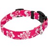Country Brook Petz Deluxe Dog Collar - Summer Breeze Collection - Made in The U.S.A. - 3 of 4