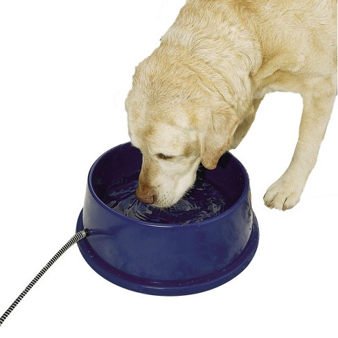 Target dog 2025 water bowl