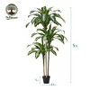 5ft/4ft Artificial Dracaena Tree in Nursery Pot - UV Resistant Faux Floor Plant for Indoor & Outdoor Decor - 3 of 4