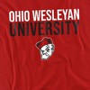 Men's Ohio Wesleyan University Official Stacked T-Shirt - 2 of 4