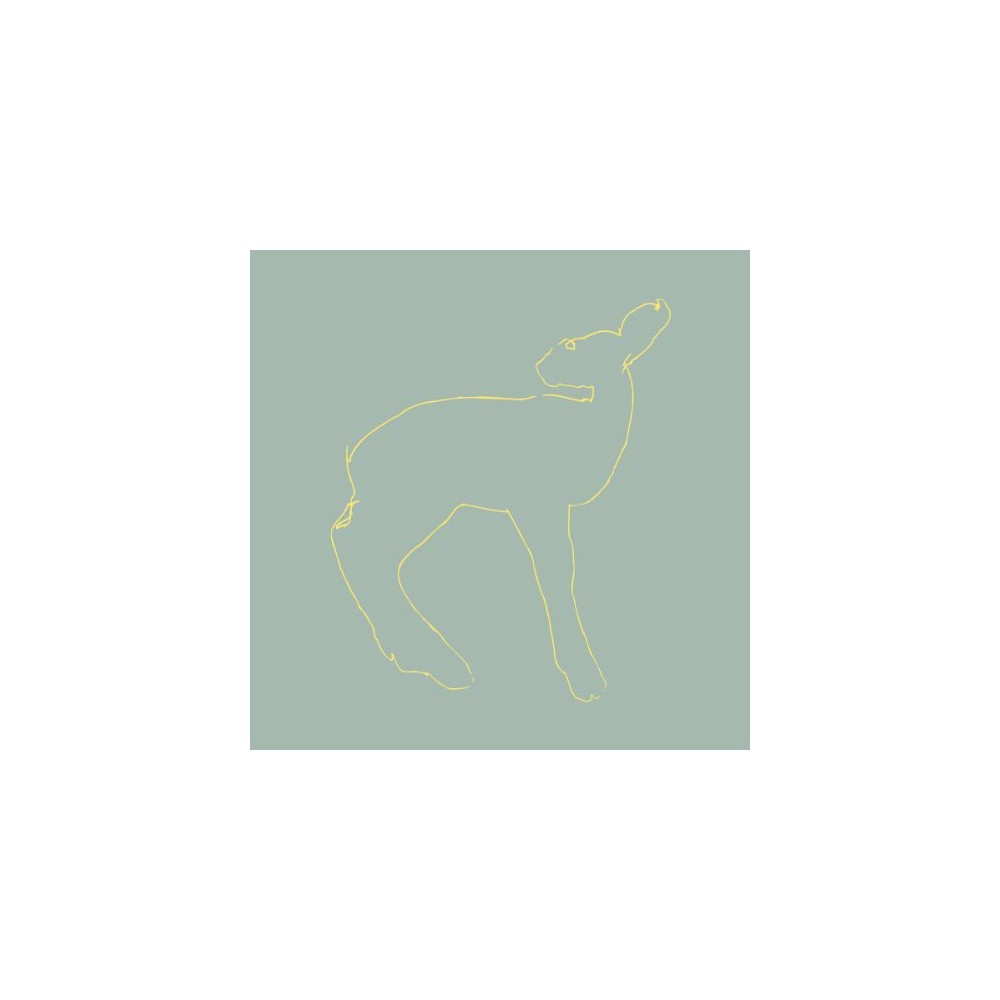 UPC 656605000817 product image for Songs: Ohia - Hecla and Griper (15th Anniversary Edition) (Vinyl) | upcitemdb.com