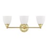 Livex Lighting Somerville 3 - Light Vanity in  Polished Brass - 2 of 4
