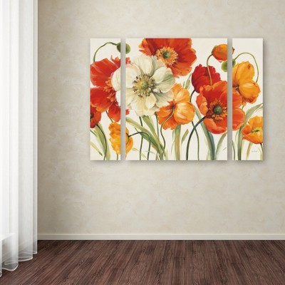 Poppies Melody I Floral 3-Piece Canvas Set