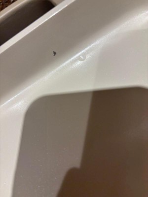 Guest review image 1 of 1, zoom in