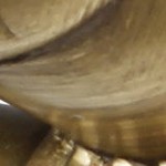 renaissance gold