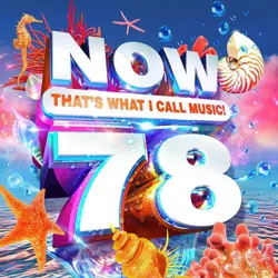 Various Artists - NOW That's What I Call Music, Vol. 78 (CD)