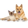 UBAVET Ubacalm Calming and Stress Relief Soft Dog Chews - 4 of 4