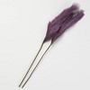 The Lakeside Collection Natural Hays and Grasses Home Accents - Purple Set of 2 Picks 2 Pieces - 3 of 4