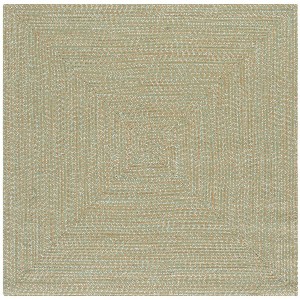 Braided BRA260  Machine Washable UV Resistant Stain Resistant Non-Shedding Hand Woven Indoor/Outdoor Rugs - Safavieh - 1 of 4