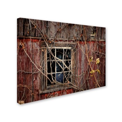 Trademark Fine Art -Lois Bryan 'Old Barn Window' Multi Panel Art Set