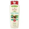 Old Spice Men's Body Wash - Fiji with Palm Tree - 2 of 4
