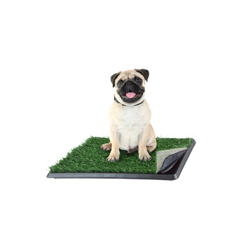 Grass puppy mat best sale