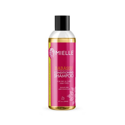 Mielle Organics Sea Moss Hair Care Shampoo Conditioner Anti Shedding 5  piece set