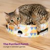 Catstages Bowl Track Scratcher Cat Interactive Toy - 4 of 4
