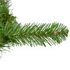 Northlight Eastern Pine Artificial Christmas Wreath - 24" - Unlit - 3 of 3