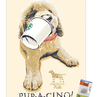 clear push pins bundle