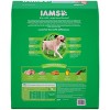 Iams Proactive Health Chicken & Whole Grains Recipe Large Breed Adult Premium Dry Dog Food - image 2 of 4