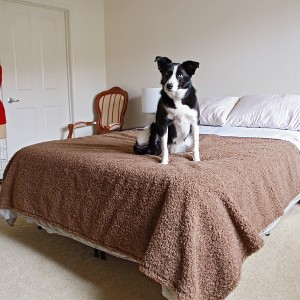 Soft Luxury Teddy Bear Faux Fur Waterproof Blanket for Dog, Leak Proof High Pile Fleece Blanket Couch Sofa Cover Furniture Protector - Kritter Planet - 1 of 4