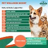 Beloved Pets Herbiotic Natural Herbal Holistic Defense for Dogs and Cats, Urinary Tract, Respiratory, & Intestinal Health 2 oz - 1 pack - 2 of 4