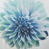 72x72'' Printed Floral Cotton Shower Curtain - 4 of 4