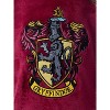 Harry Potter Girls' Hogwarts Houses Crest Raglan Pajama Nightgown-All Houses - 3 of 3