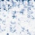 ivory/navy