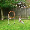 2 in 1 Dog Agility Training Set with Adjustable Tire Jump Ring and Hurdle Bar Includes Carry Bag for Outdoor Pet Exercise - LAOTIES - 2 of 4