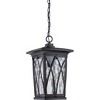 Grover 1-Light Mystic Black Outdoor Hanging Lantern - 2 of 4