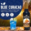 Syruvia Blue Curacao Syrup - 25.4 fl oz. Premium Flavoring Syrup For Coffee - 2 of 4