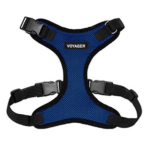 Voyager Step-In Lock Adjustable Dog & Cat Harness for All Breeds, Breathable Mesh, Royal Bule Base,XL - 1 of 4