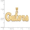 Black Bow Jewelry 10k Yellow Gold Florida Gators NCAA Small Pendant - 2 of 3