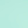 mint chip