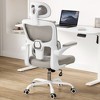 Okak Ergonomic Office Chair with Flip-Up Armrest, Desk Chair with Adjustable Lumbar Support, Computer Chair for Home, Office - 2 of 4