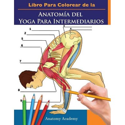 Libro Para Colorear de la Anatomía del Yoga Para Intermediarios - by  Anatomy Academy (Paperback)