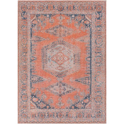 Colin Traditional Machine Washable Rug Orange - Artistic Weavers