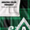 Delta State University Campus Plaid Spirit Silky Touch Super Soft Throw Blanket 50x60 - 4 of 4