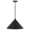 Capital Lighting Alden 1 - Light Pendant in  Matte Black - 2 of 4