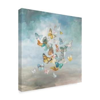 Trademark Fine Art -Danhui Nai 'Beautiful Butterflies' Canvas Art