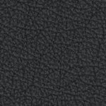 army academy black knights