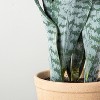 21" Faux Snake Plant - Hearth & Hand™ with Magnolia - image 3 of 3