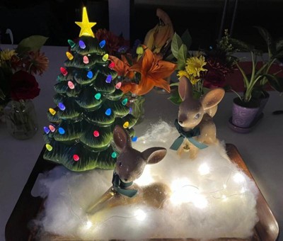 Guest review image 2 of 2, zoom in