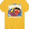 Boys' - Sesame Street - Ernie Aquarius Short Sleeve Graphic T-Shirt - 2 of 4
