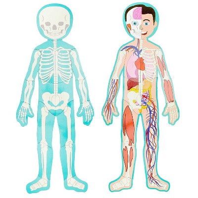 Large Human Body Floor Puzzle, Double-sided Skeleton & Anatomy Jigsaw Puzzles for Kids, Educational & Learning Toys, 3 ft, 17pc