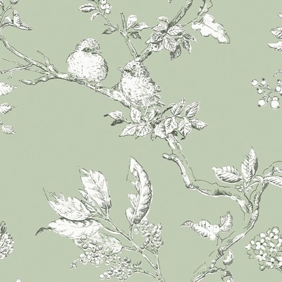 Laura Ashley Elderwood Sage Floral Botanical Wallpaper