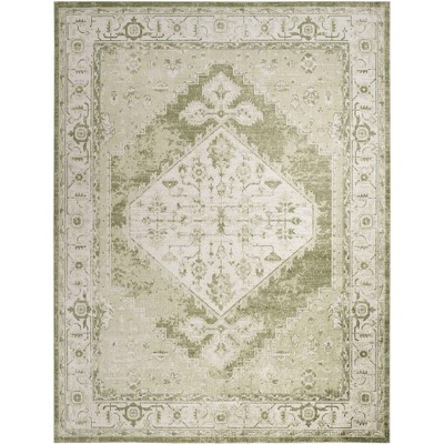 Nourison Washable Astra Vintage Persian Indoor Flatweave Area Rug