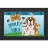 Briarwood Lane Everyday Doormat 30x18 Indoor Outdoor Dogs Spoiled Here Doormat - 2 of 4