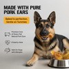 Dog Chits Pig Ears for Dogs – 100% Natural Baked Pig Ear Dog Treats| Dental Support | Medium Size |15 Pack | Made in USA - 3 of 4