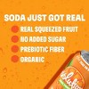 Evolution Fresh Orange Squeeze Real Fruit Soda - 12 fl oz - 4 of 4
