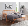 Twin Size Metal Daybed with Trundle for Bedroom - 2 of 4
